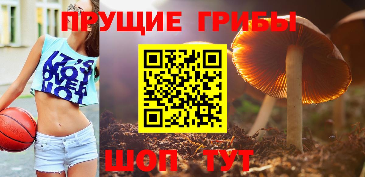 Галлюциногенные грибы MAGIC MUSHROOMS  Вход с VPN  Галлюциногенные грибы Psilocybine cubensis  Зерноград 