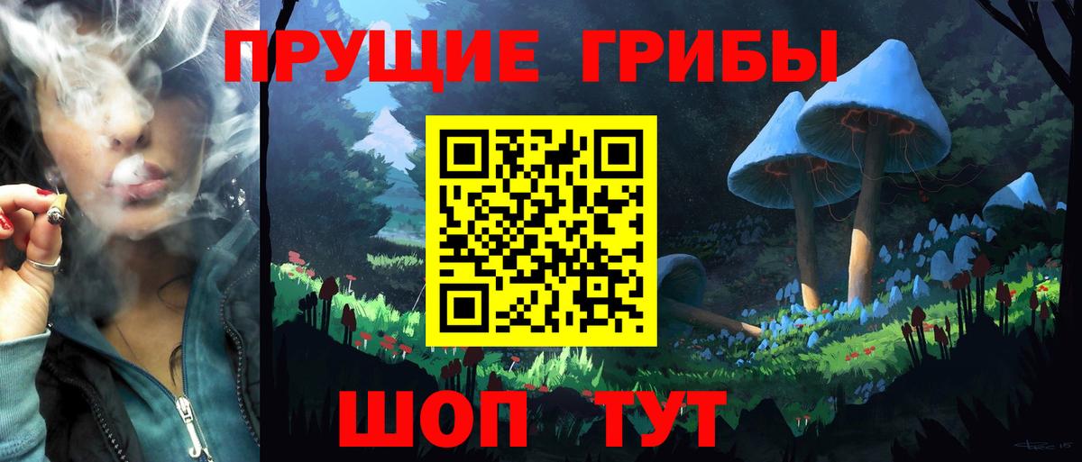 Псилоцибиновые грибы ЛСД Зерноград